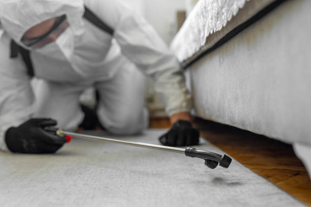 Professional Bed Bug Control technician working in Big Lake, AK