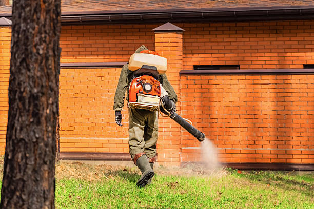 Trusted Mosquito Control service in Big Lake, AK - Nex Pest Control